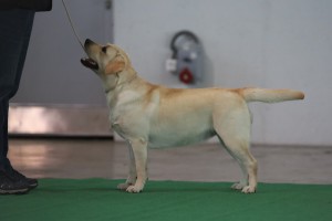 img_5800.jpg